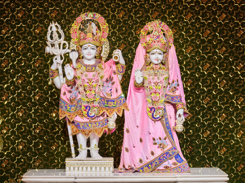 Shiv Parivaar